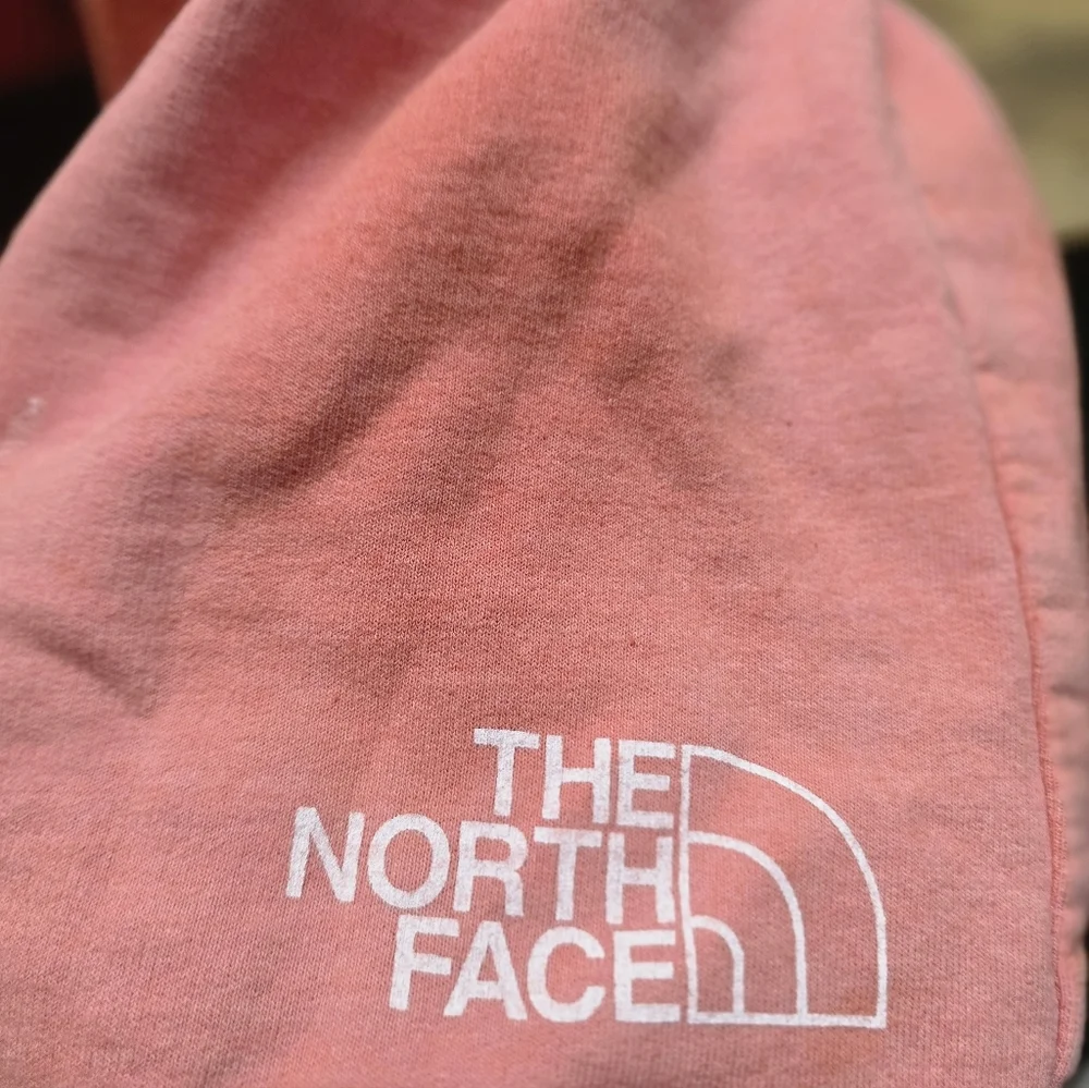 The North Face Pink Men's Shorts Size XL